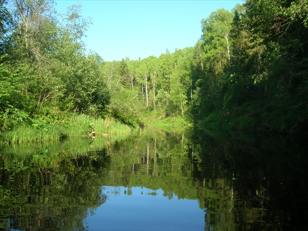 Сплав Сога 077 участок между Серговкой и Кученевкой